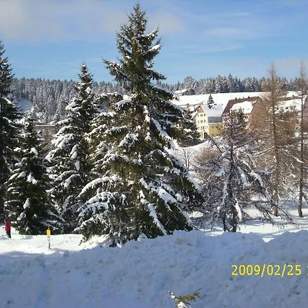 Flingermann 10 Schonwald * Шёнвальд