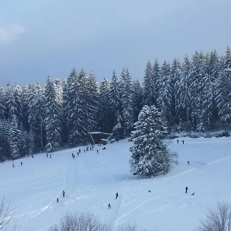 Апартаменты Flingermann 10 Schonwald