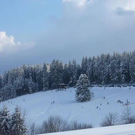 Flingermann 10 Schonwald * Шёнвальд