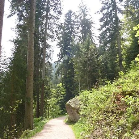 Апартаменты Flingermann 10 Schonwald